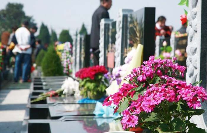 河南陵园用鲜花祭扫