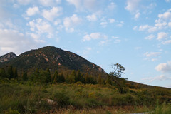 郑州莲花山人文纪念园路线怎么走