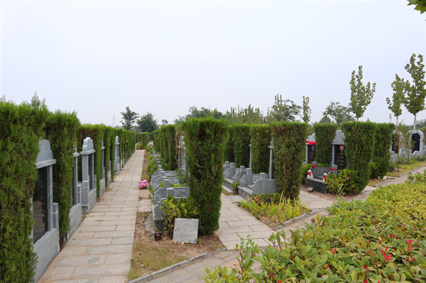 荥阳黄河北邙陵园墓地
