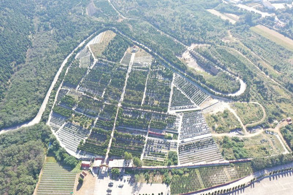 郑州新乡龙凤公墓规划图