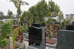 在郑州二七区黄河北邙陵园选定一款满意的墓碑