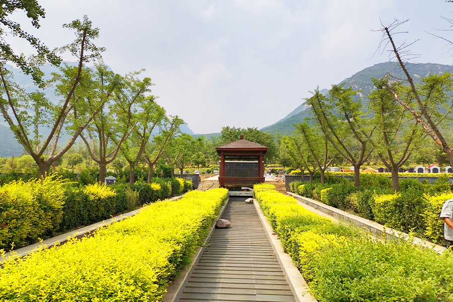 陵园风景