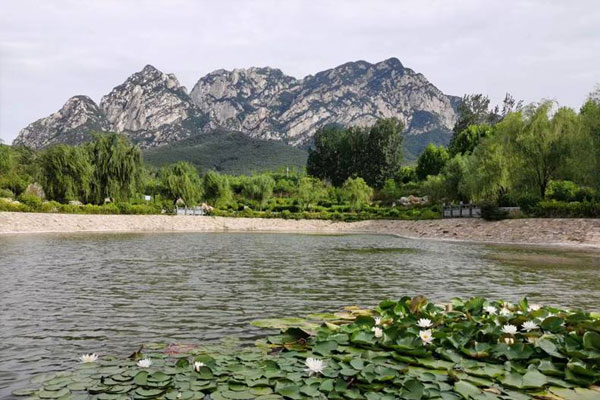 背山面水之莲花盛景