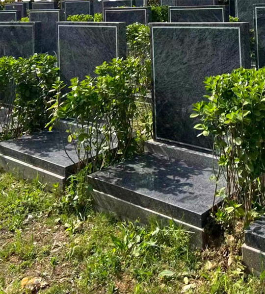 莲花苑艺术墓碑五