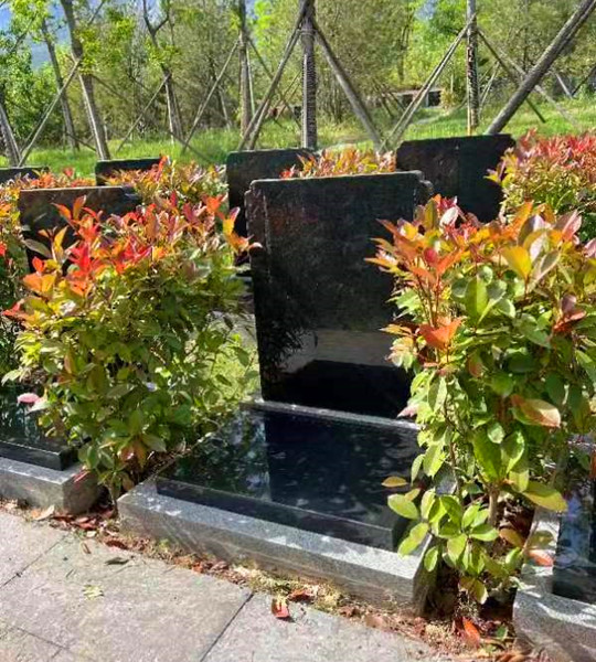 莲花苑艺术墓碑二