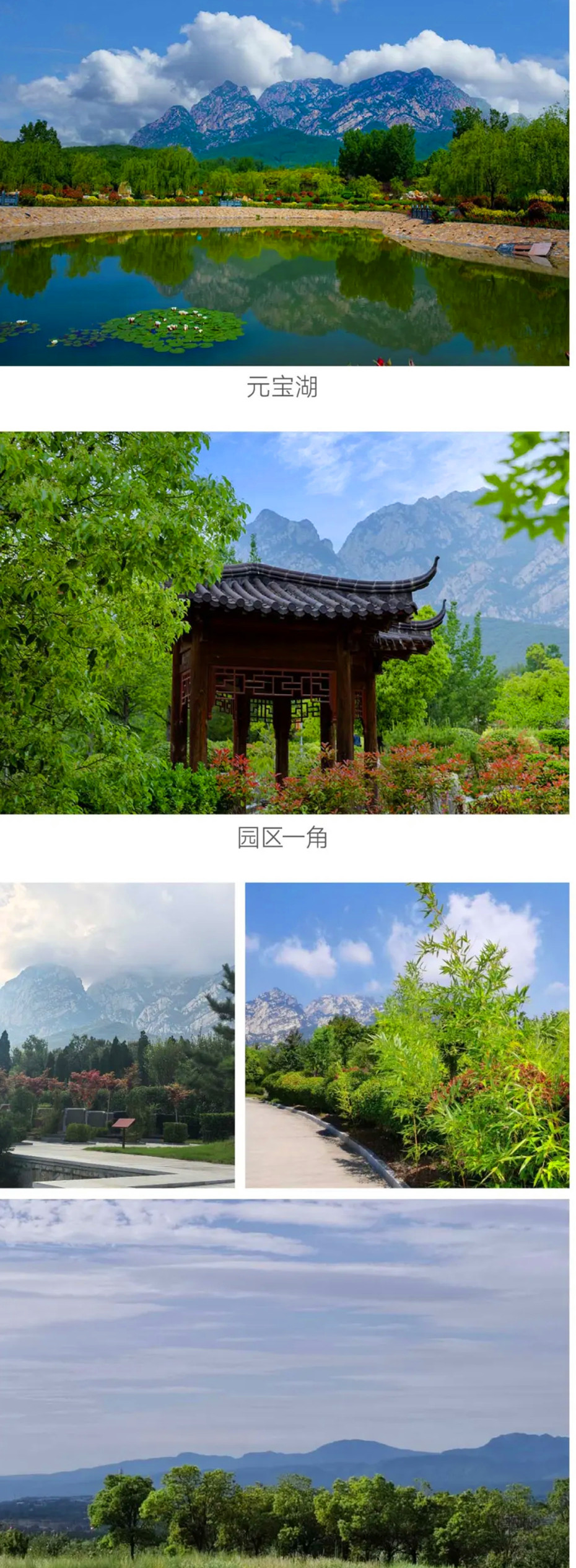 莲花山环境