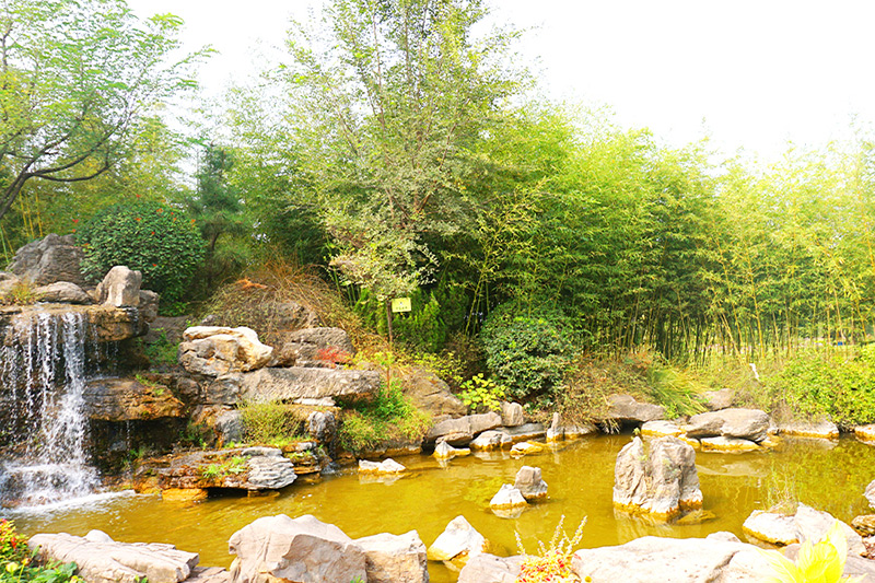 水系景观图