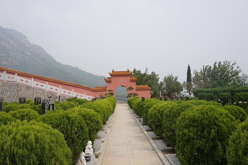 陵园环境