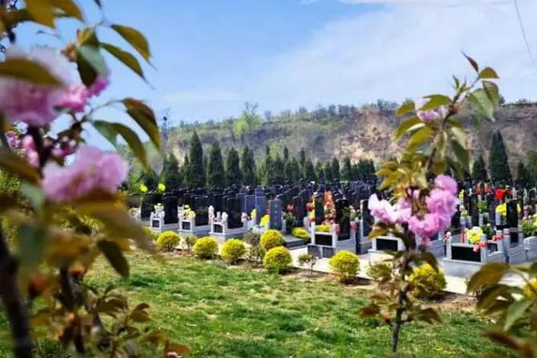 百花丛中的墓区