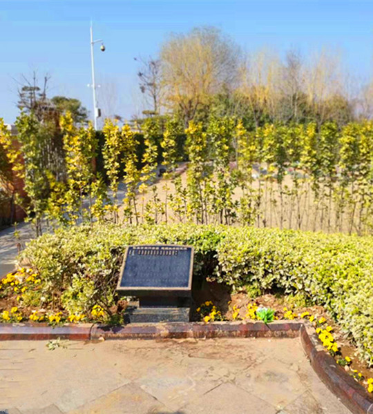 功勋园花坛葬