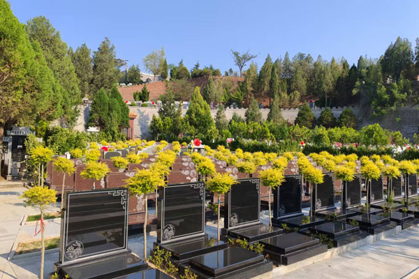 北邙陵园墓区环境