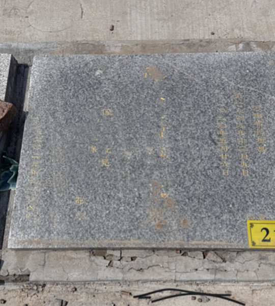 昆仑山区春风得意