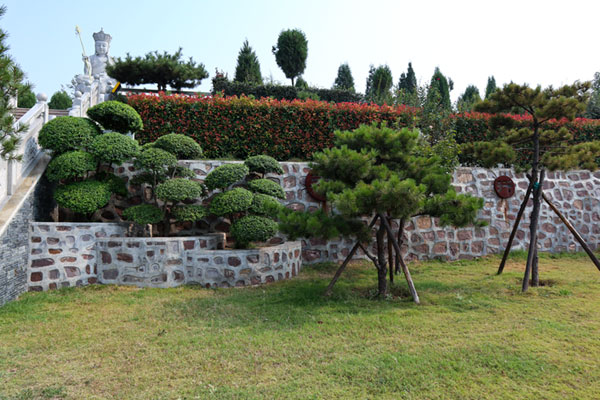 植物景观