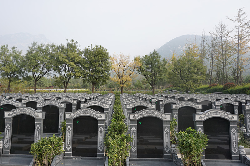 墓区实拍