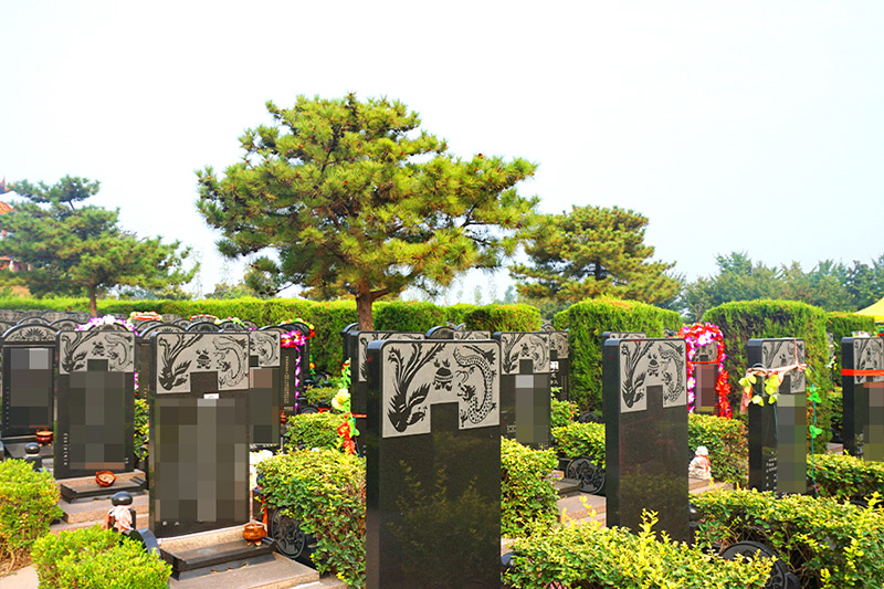 墓区实拍 墓区实拍