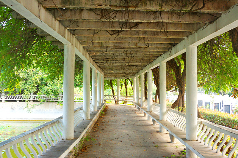 放生池连廊 放生池连廊