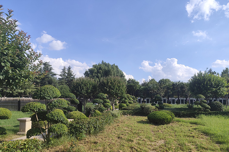 园区景观