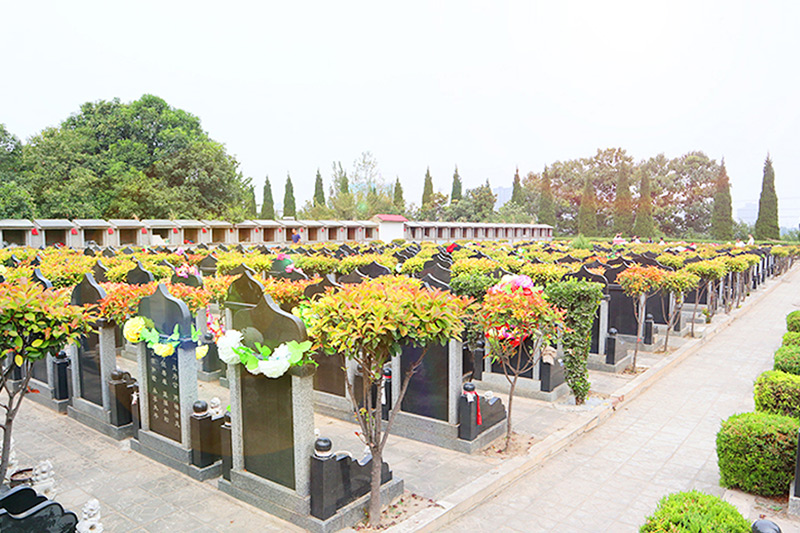 墓区绿化
