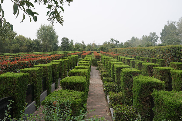 郑州福寿园客服电话是多少？营业时间几点？坐几号地铁能到？