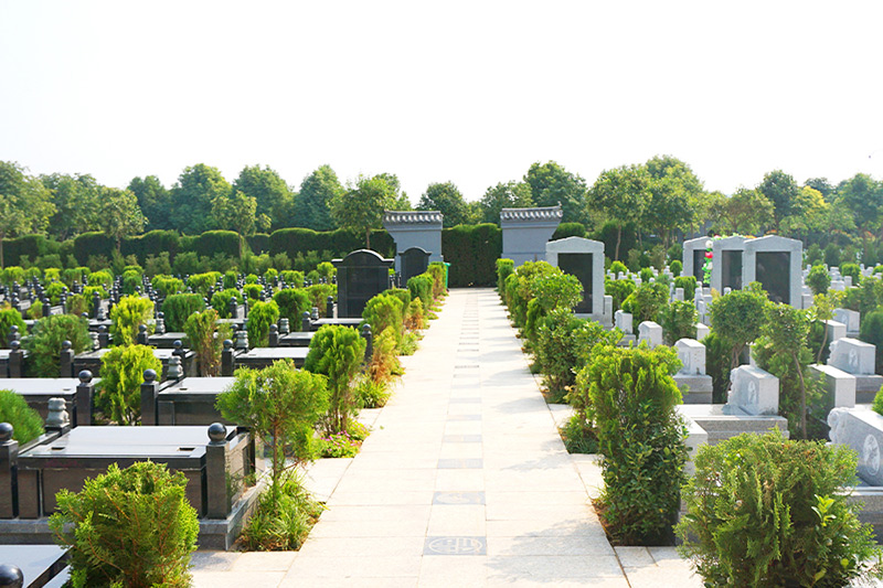 墓区实拍 墓区实拍