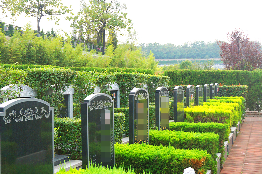 御泉森林陵园墓区环境