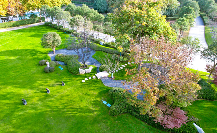 河南福寿园秋景一