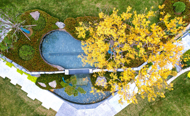 河南福寿园秋景二