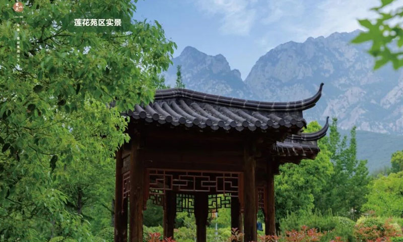 莲花山人文纪念公园莲花苑实景