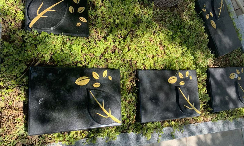 生态卧碑俯视图