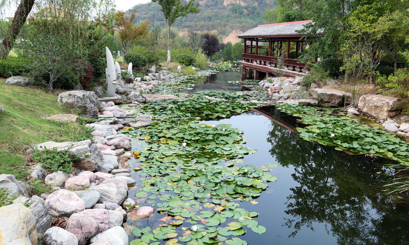 御泉森林陵园环境实拍