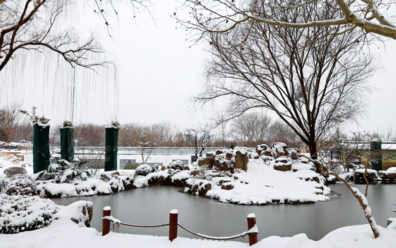 河南福寿园雪景-人工小湖