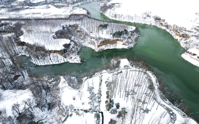 河南福寿园雪景-绿带缠绕
