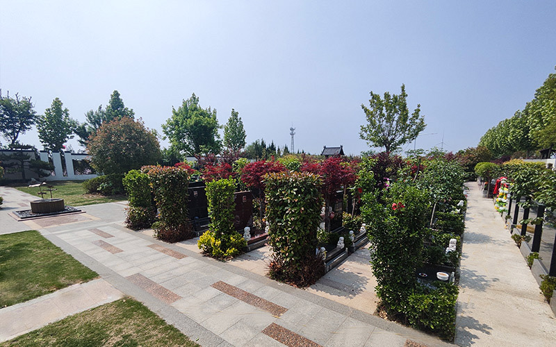 黄河纪念公园雅园墓区实拍