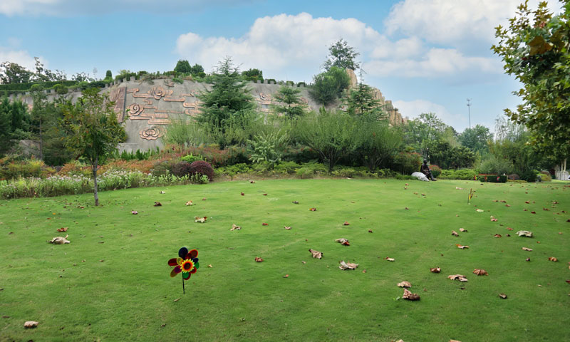 御泉森林陵园墓区内绿草茵茵