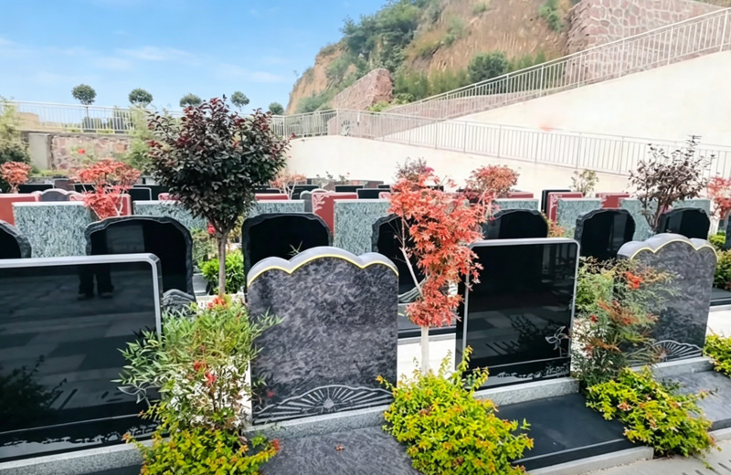 黄河纪念公园世外家园环境实拍