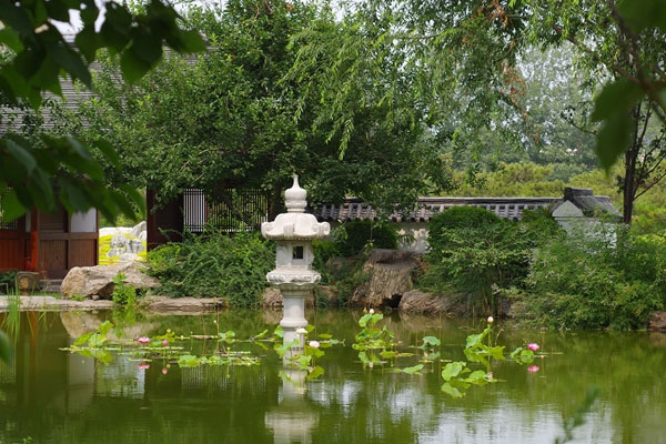 龙湖镇双湖大道以西规划全解析：交通升级、配套落地与河南福寿园利好
