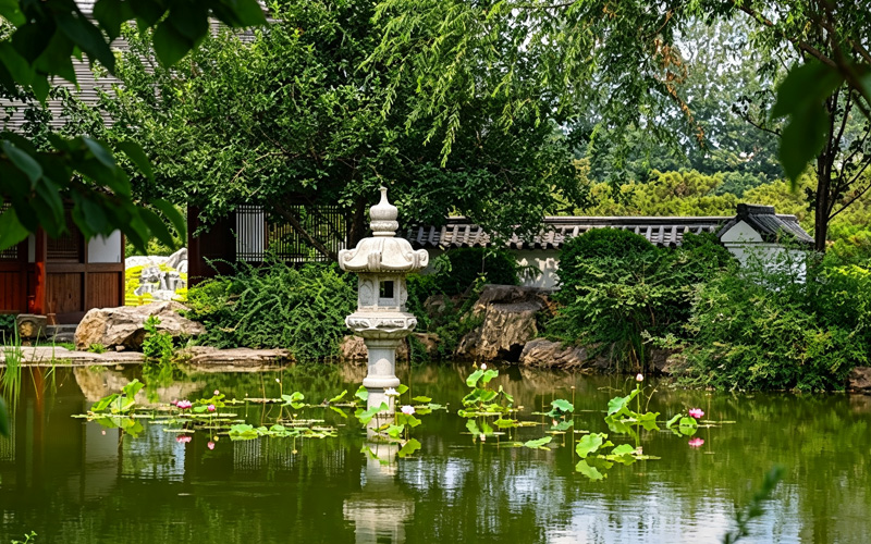 河南福寿园水映莲花景观 河南福寿园水映莲花景观